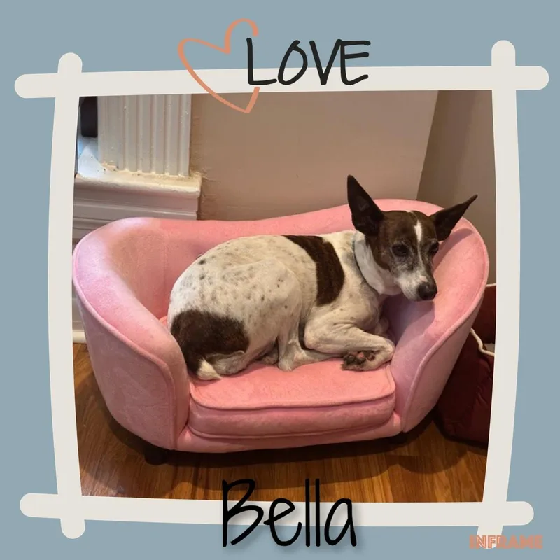 Bella thumbnail 5