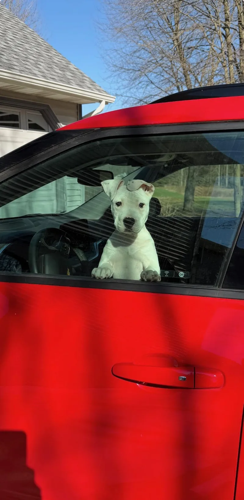 Finnegan thumbnail 4