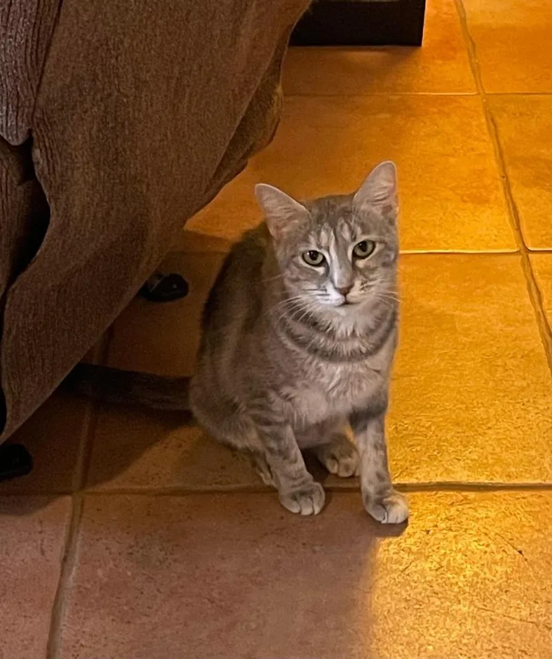 Elinor thumbnail 2