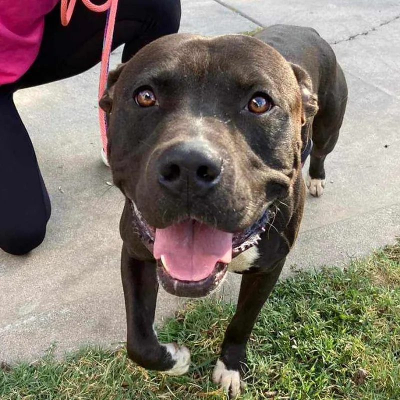 Fernando thumbnail 2