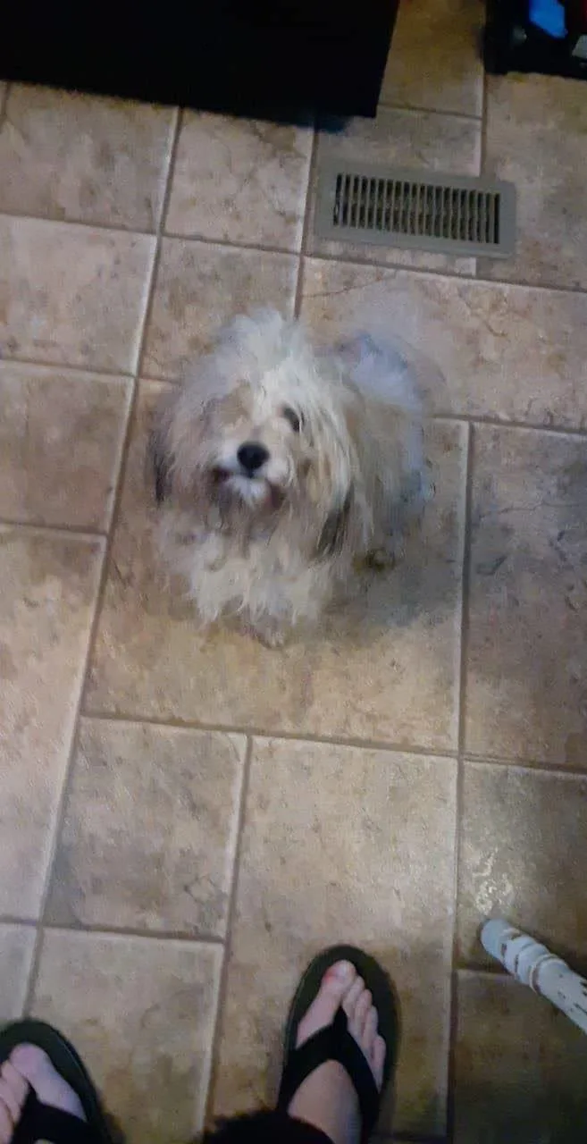 Bailey Os Slavin