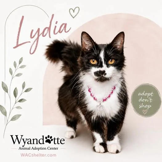 Lydia