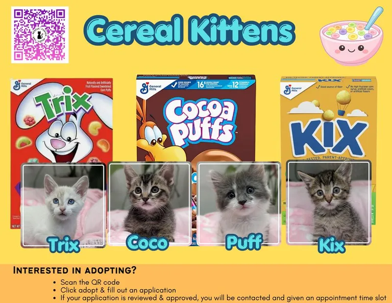 Coco thumbnail 6