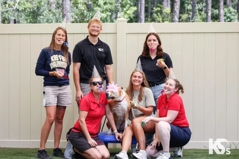 An adult large-sized female Basenji dog named Charmy for adoption in Ponte Vedra, FL