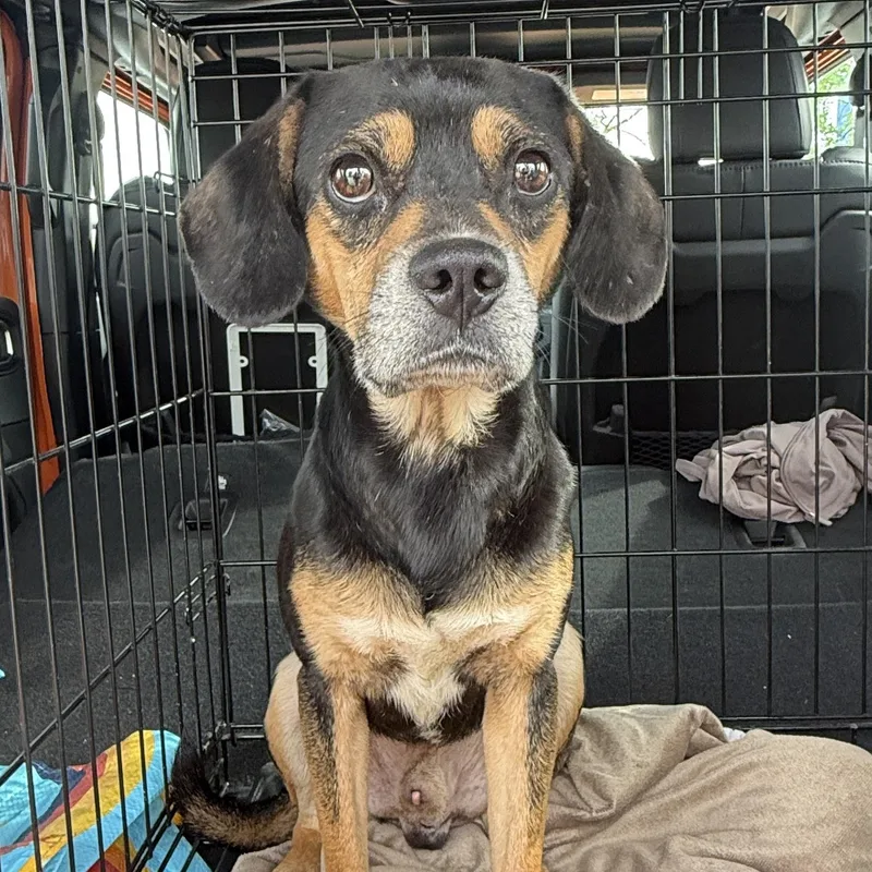 Mitchell thumbnail 2