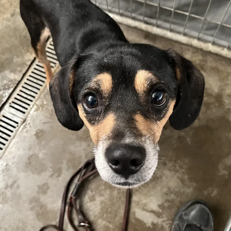 Mitchell thumbnail 3