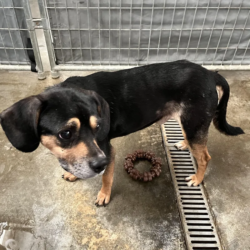 Mitchell thumbnail 4