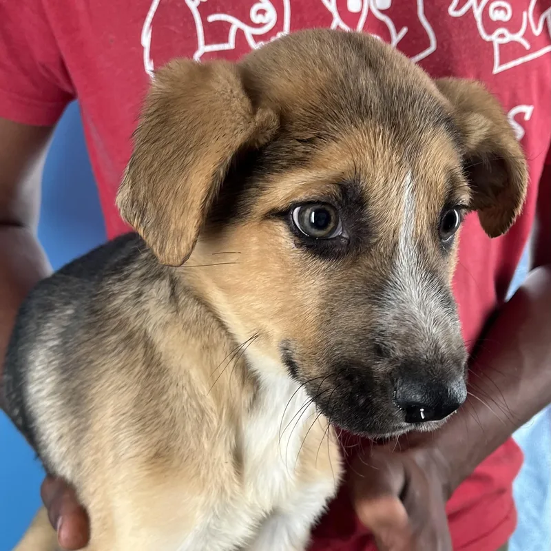 Lilo  Local April thumbnail 2