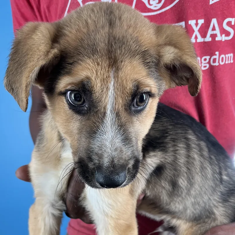 Lilo  Local April thumbnail 3