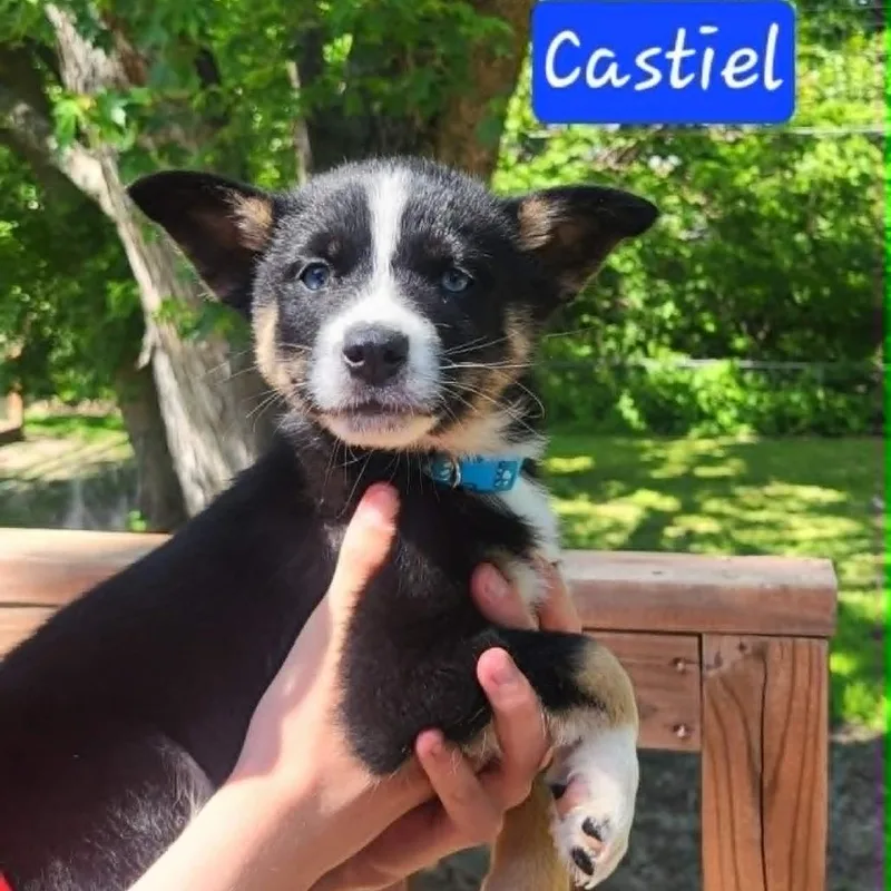 Castiel thumbnail 2