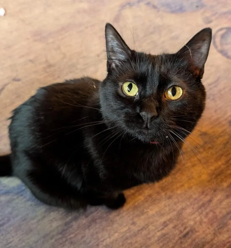 Momma Penelope thumbnail 3