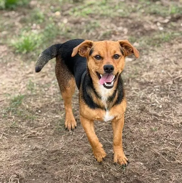 Emmett And Emmi thumbnail 2