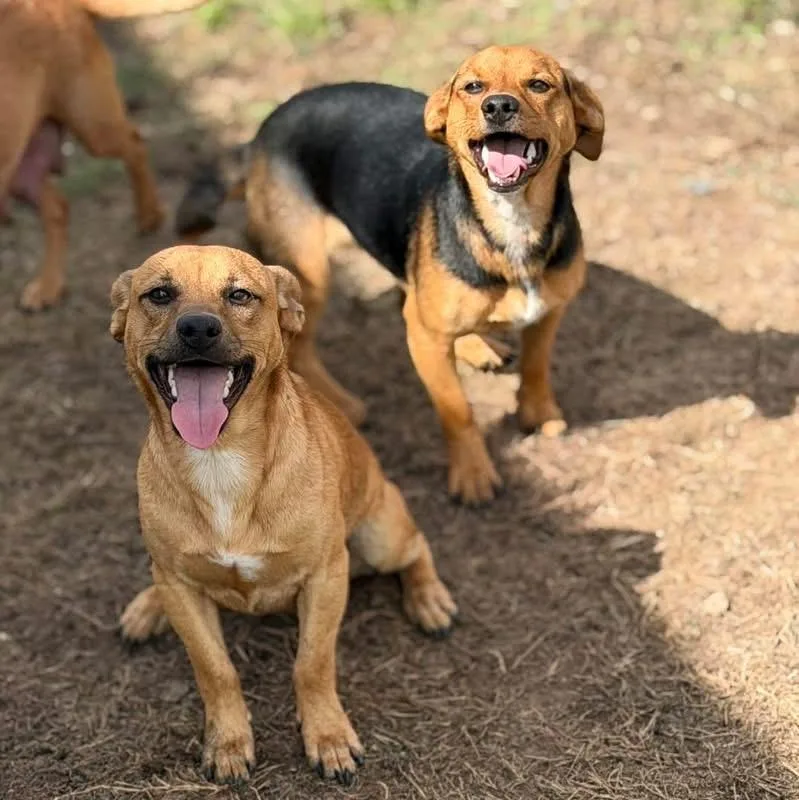 Emmett And Emmi thumbnail 4