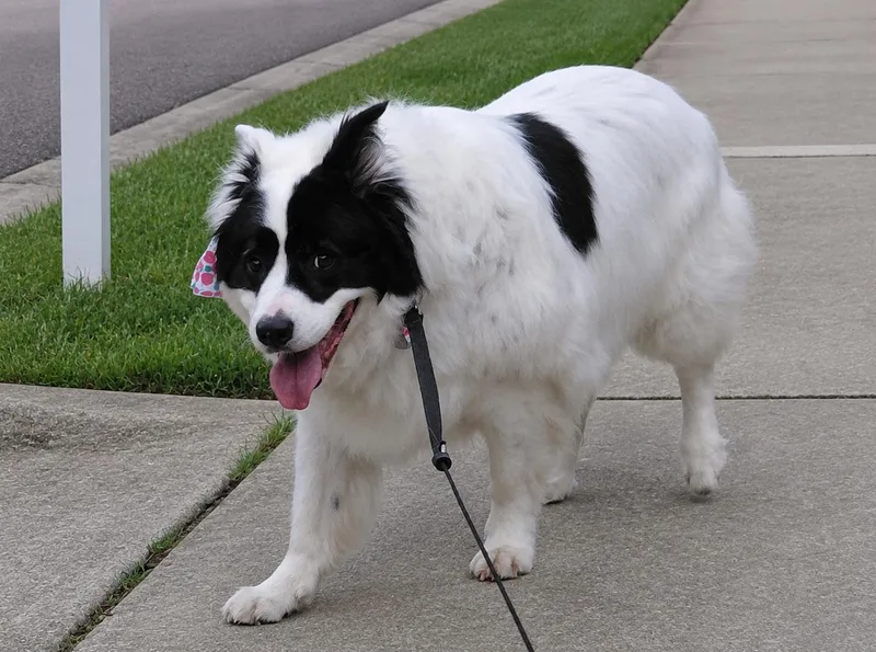 Maddy thumbnail 6