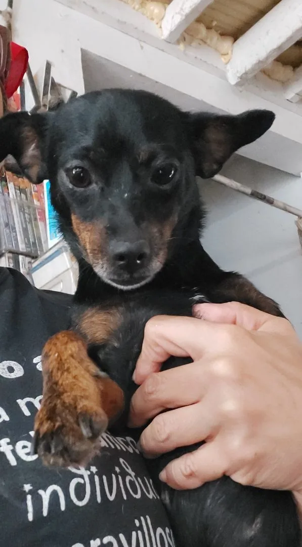 Taylor Ii thumbnail 5