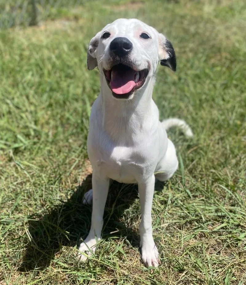 Lena