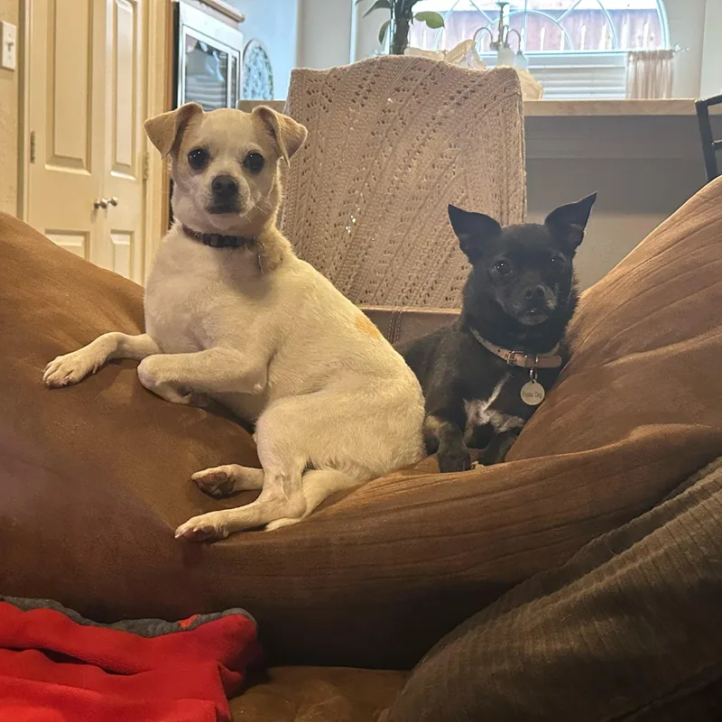 Snowflake thumbnail 2