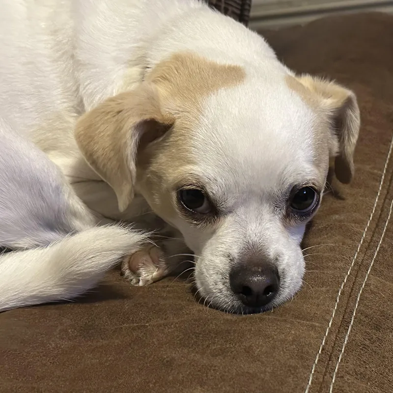 Snowflake thumbnail 3