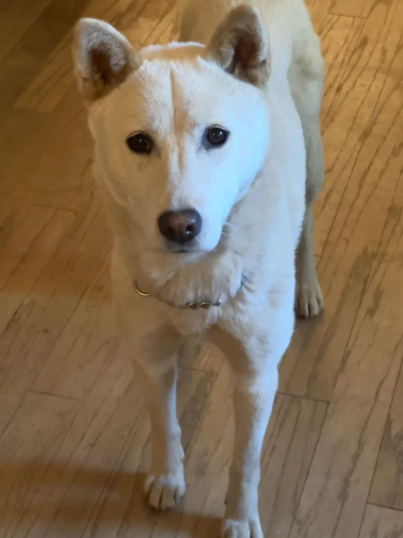 Shellie Aka Portland thumbnail 2