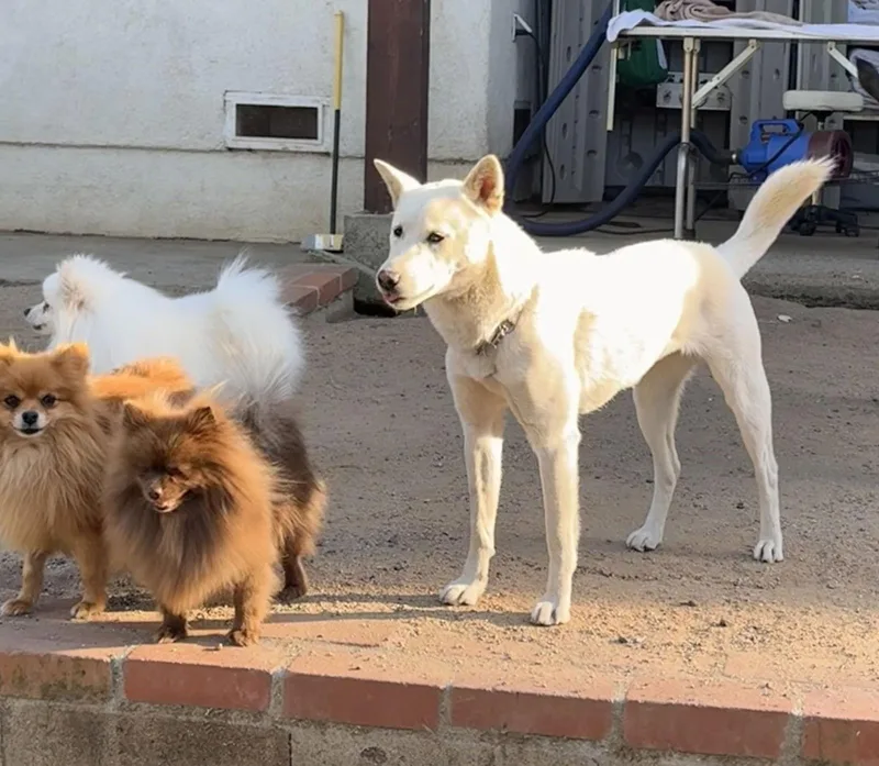 Shellie Aka Portland thumbnail 3