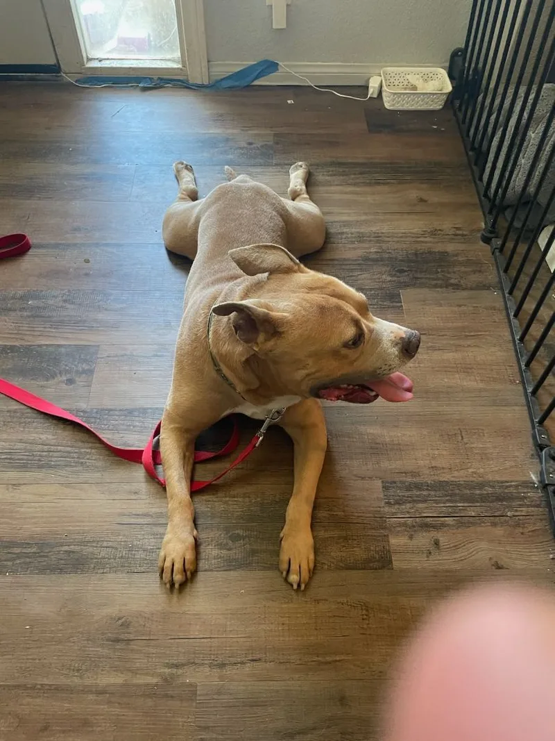 Prince Romeo ... Where thumbnail 2