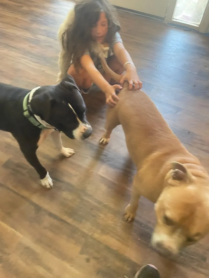 Prince Romeo ... Where thumbnail 3