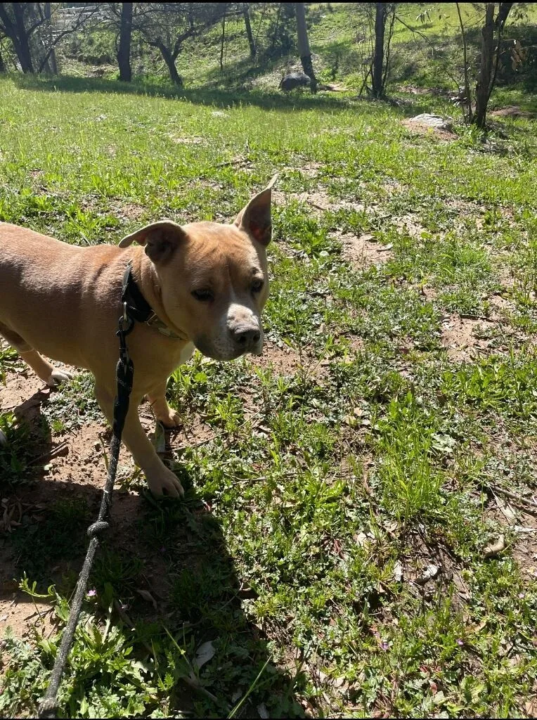 Prince Romeo ... Where thumbnail 5