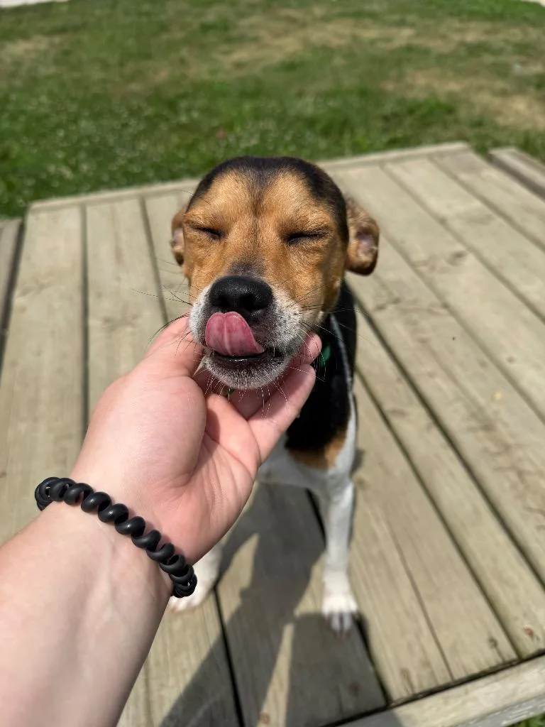Yoda