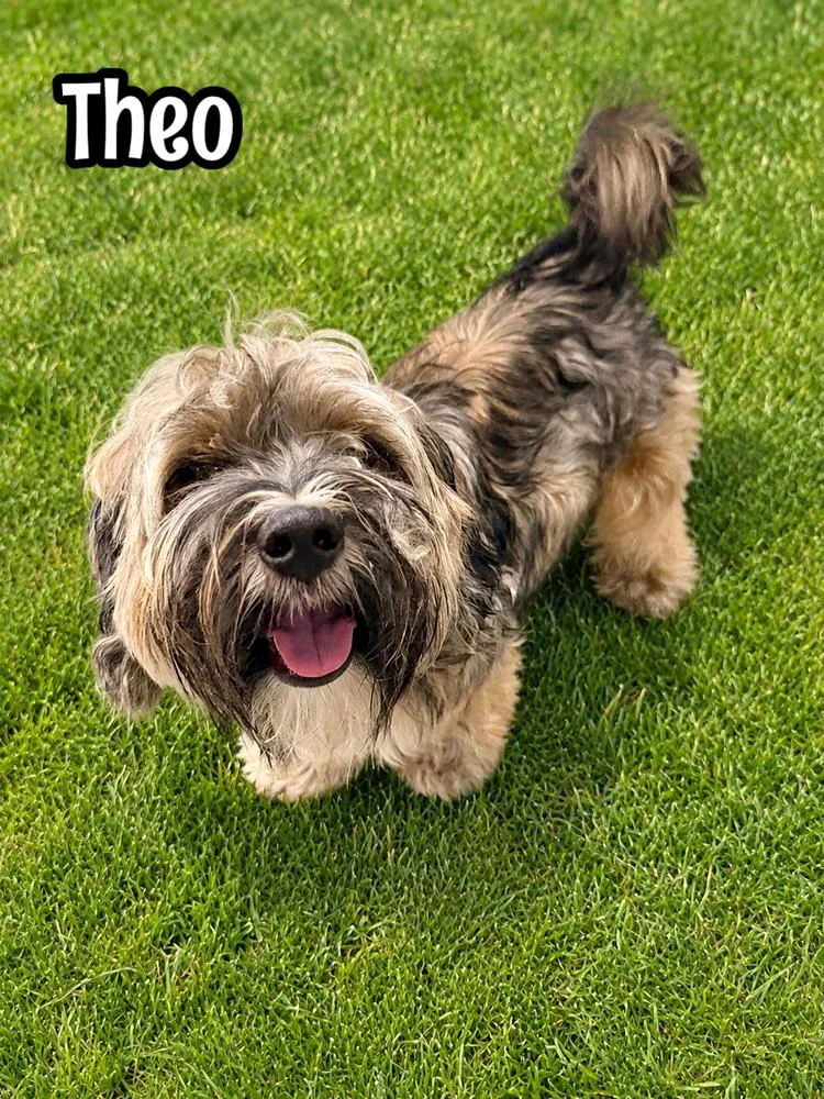 Theodore