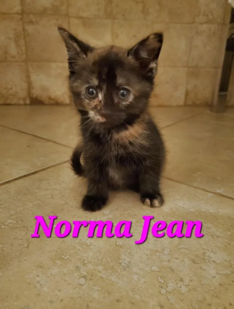 Norma Jean