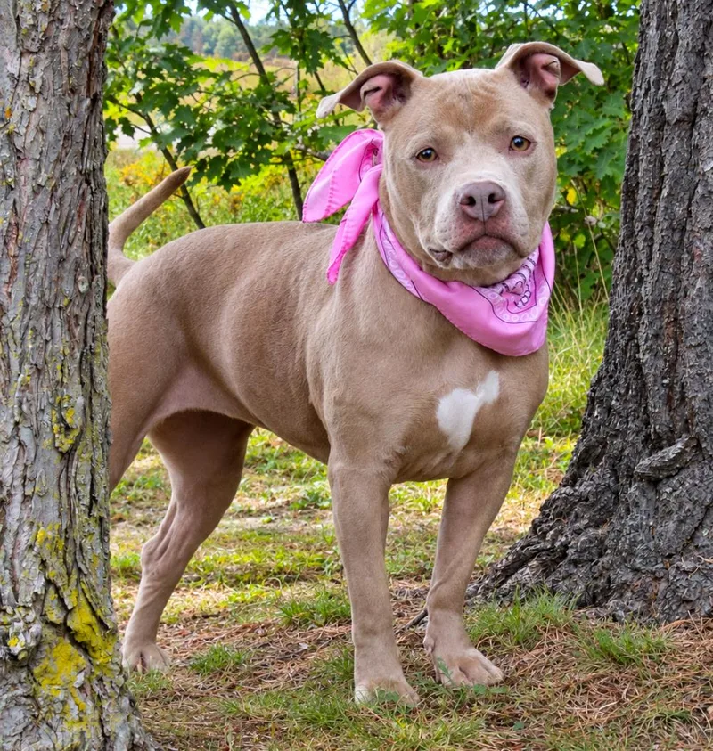 Sadie Mae thumbnail 2