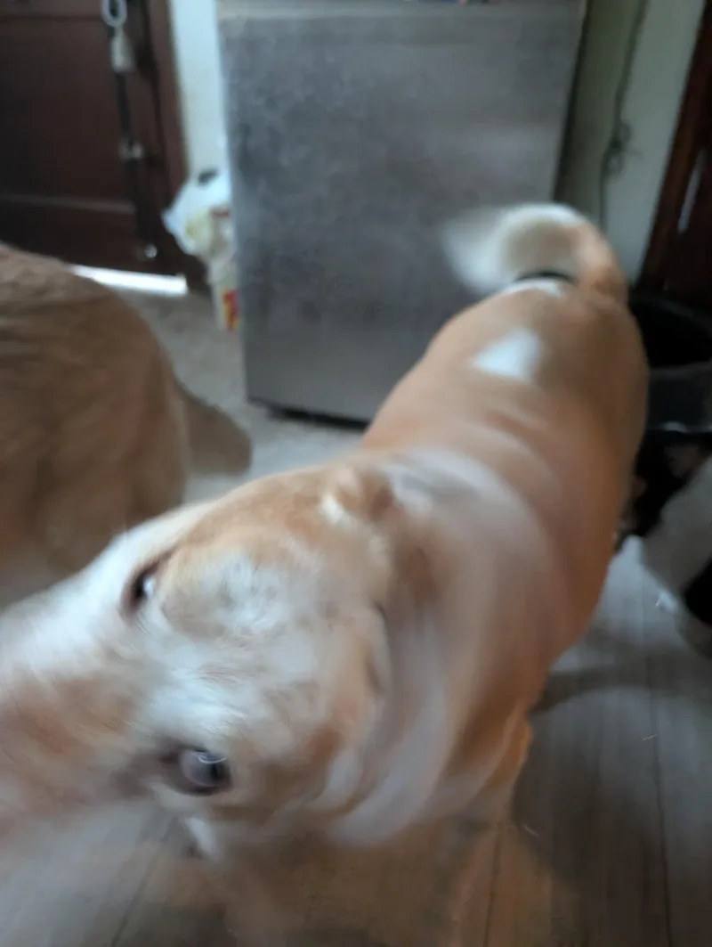 Sonny thumbnail 2