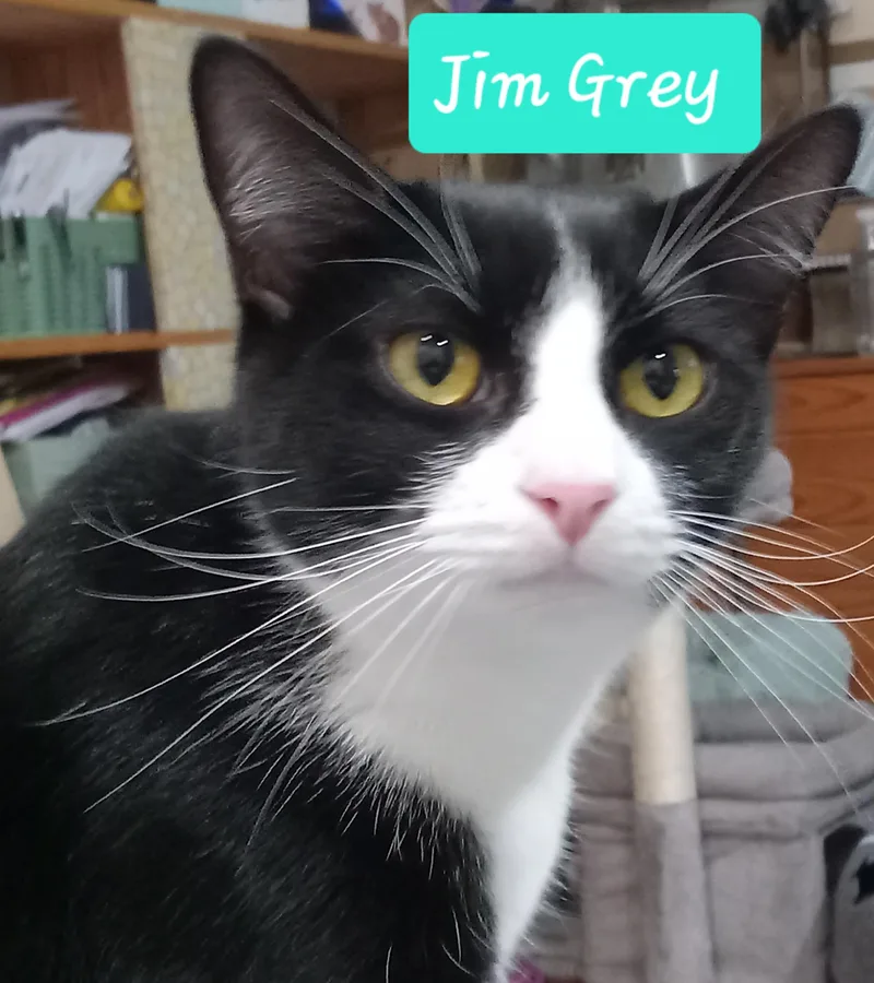 Jim Grey thumbnail 2