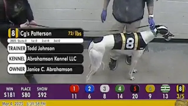 Cgs Patterson thumbnail 2