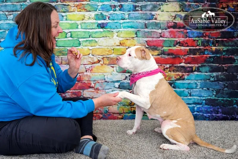 Pinky Pie thumbnail 4