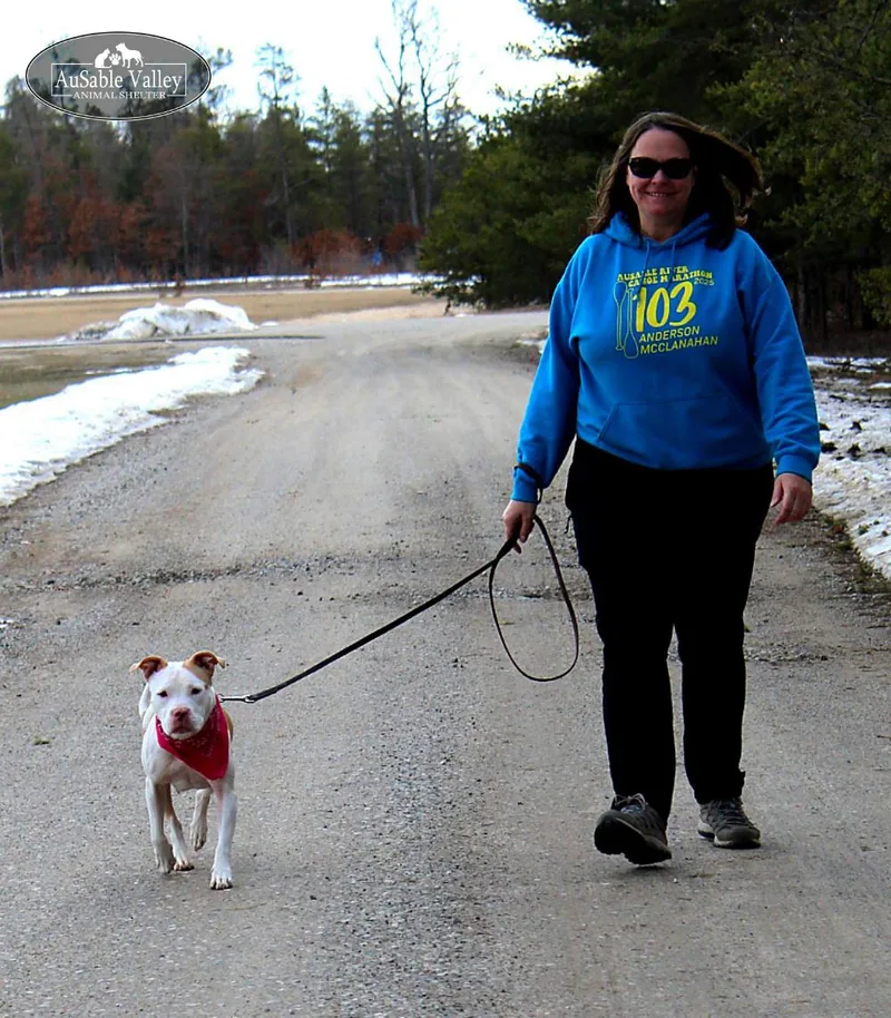 Pinky Pie thumbnail 5