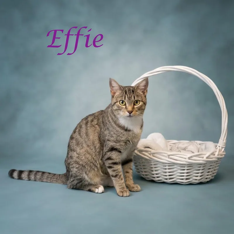 Effie C thumbnail 2