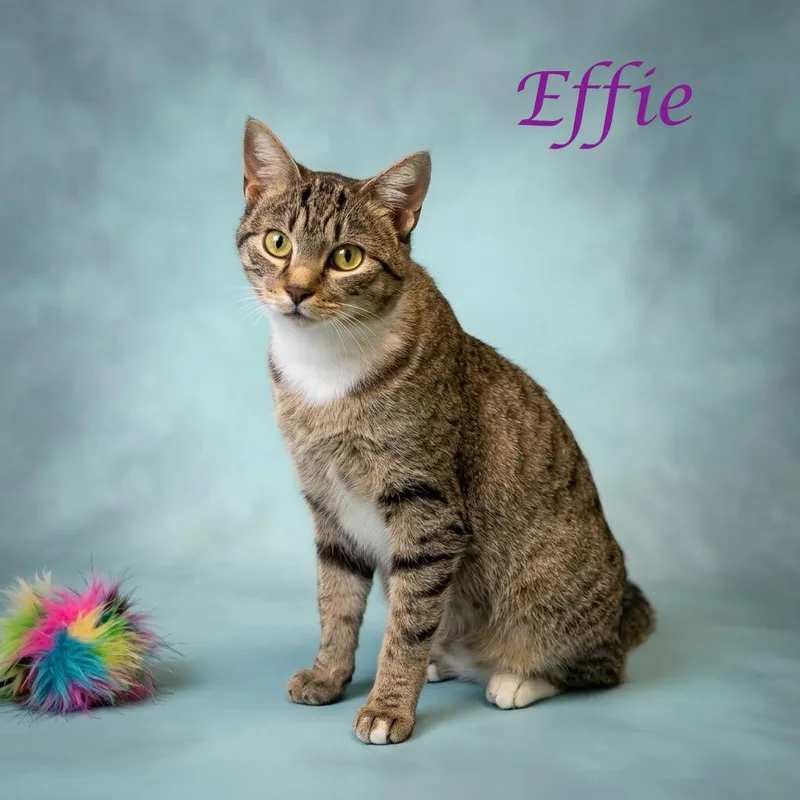Effie C thumbnail 3