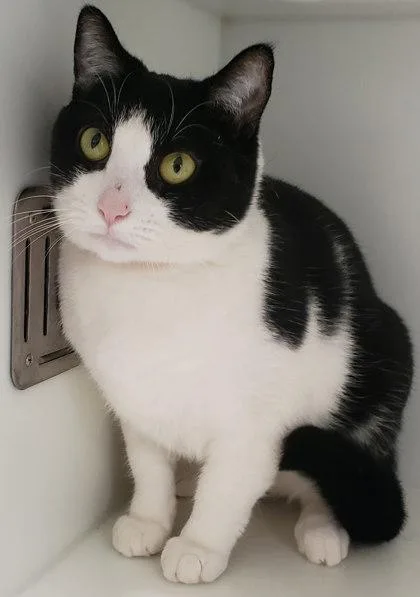 Extraterrestrial thumbnail 2