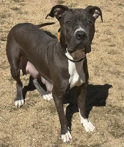 Maggie Moo thumbnail 2