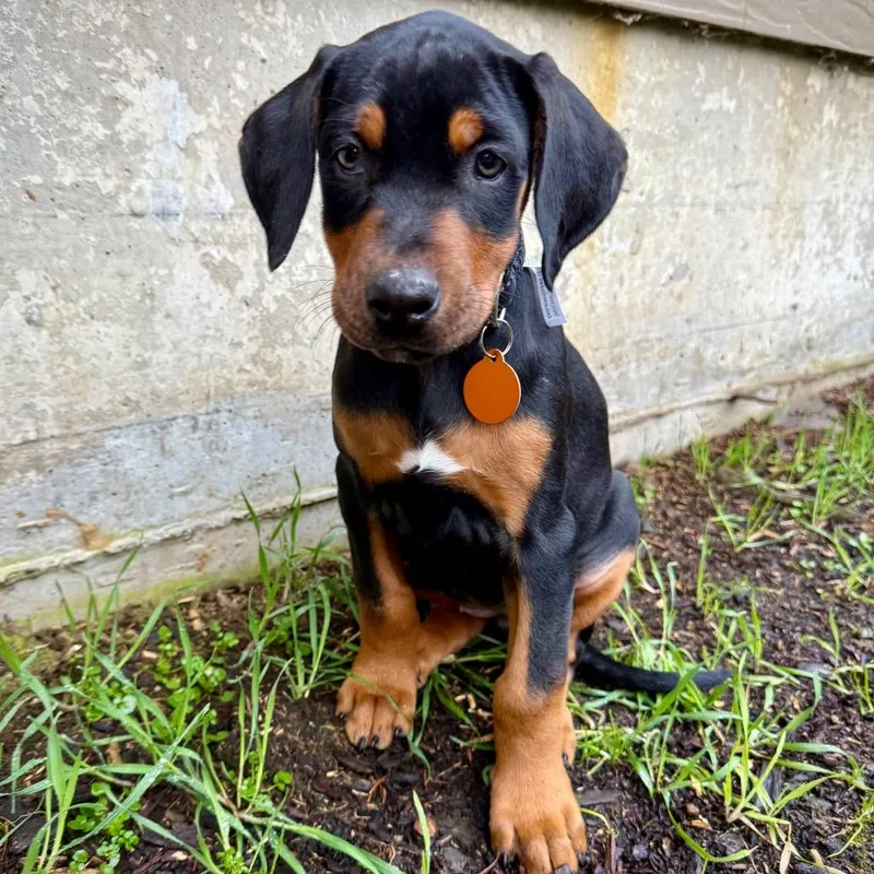 Mckenzie thumbnail 2