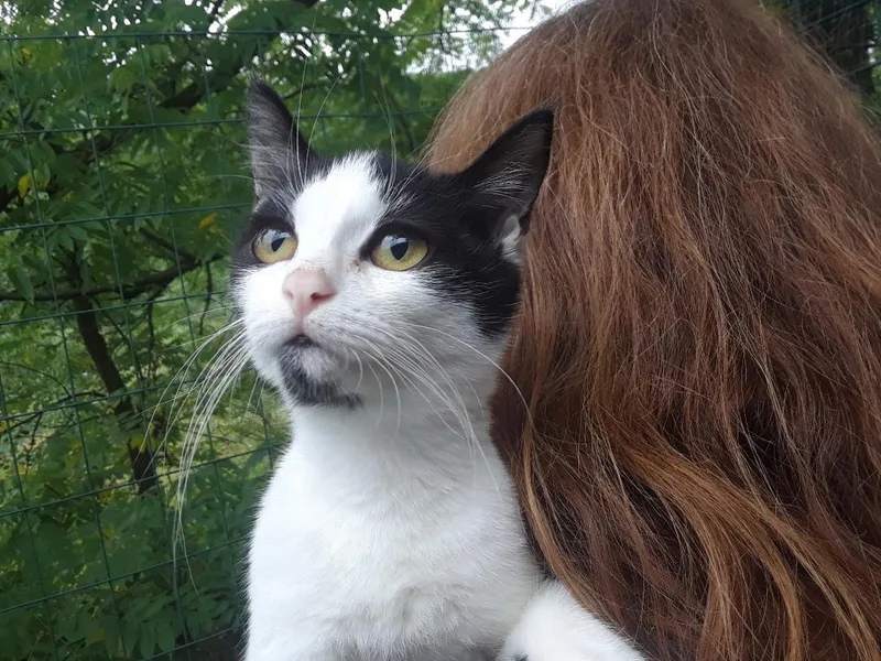 Starlink thumbnail 3