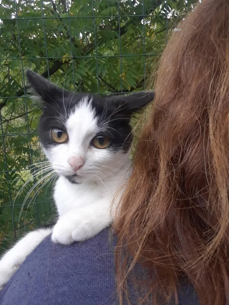 Starlink thumbnail 5