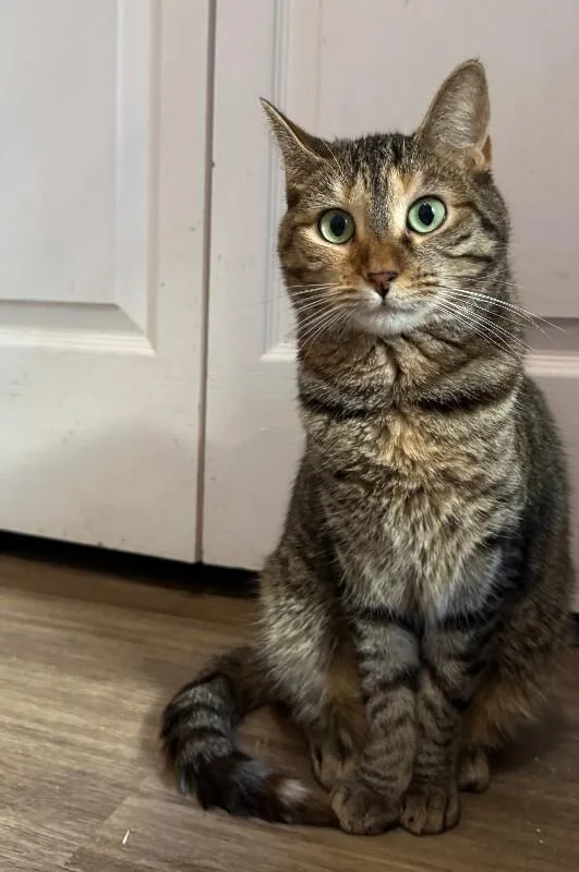 Chloe
