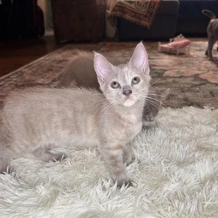 Zoey