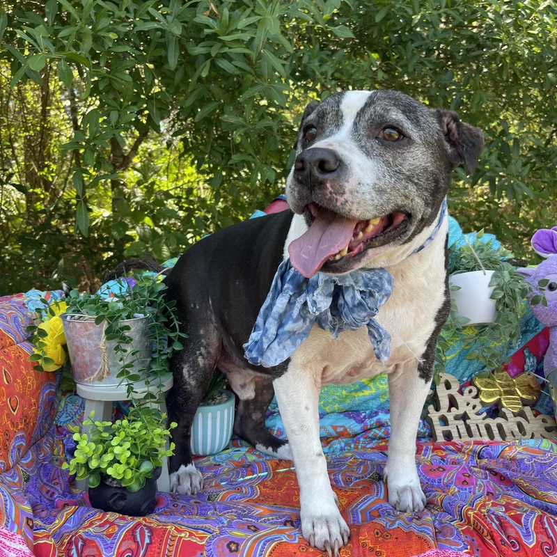 Manderick thumbnail 2