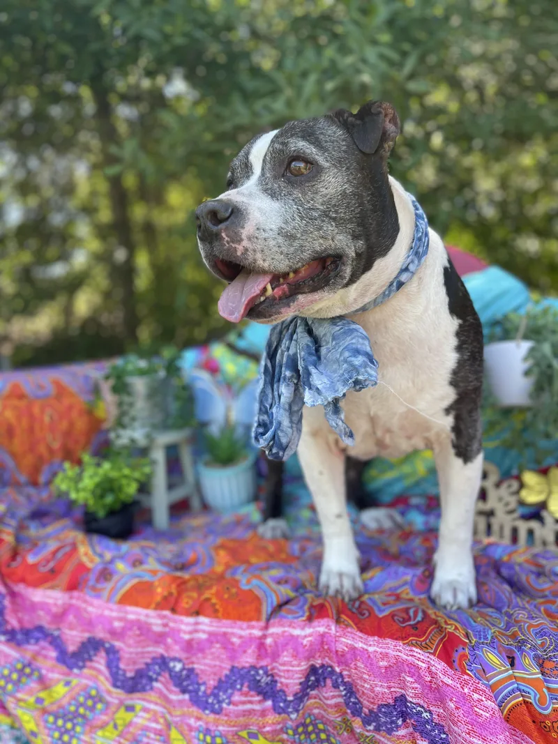 Manderick thumbnail 3