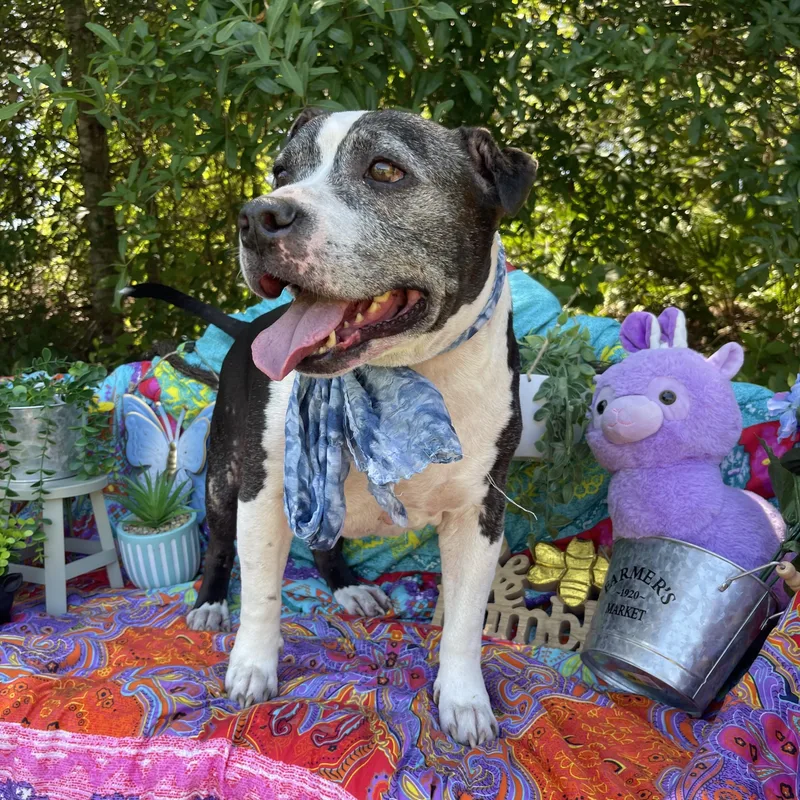 Manderick thumbnail 4