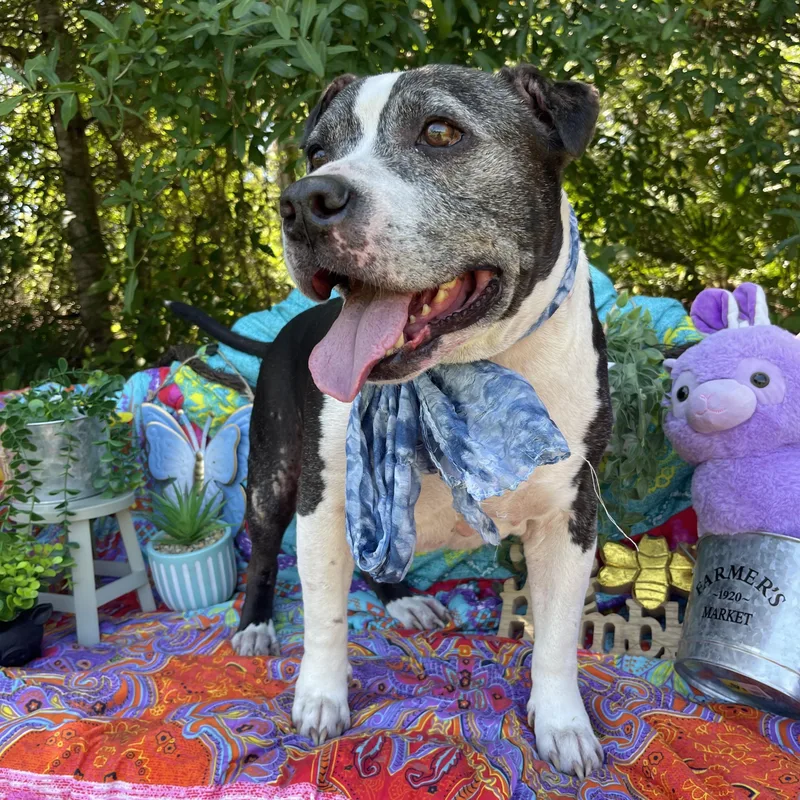 Manderick thumbnail 5