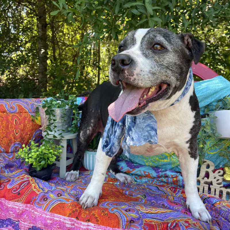 Manderick thumbnail 6